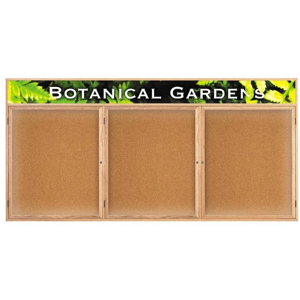 Open Faced Traditional Corkboard, 48x36"